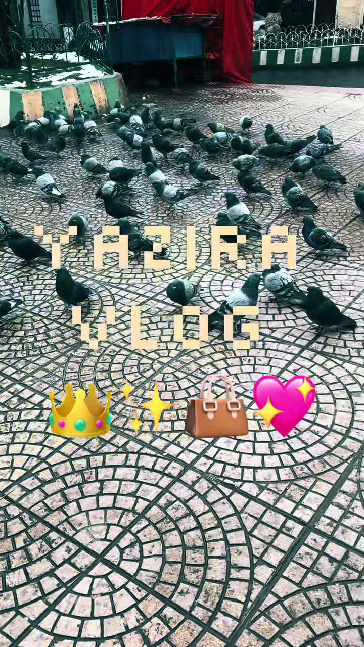 @[  𝕐𝕒𝕤𝕤𝕙𝕚𝕣𝕒  ]