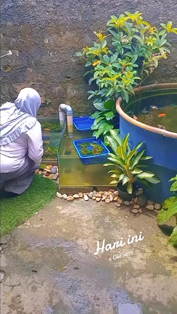 @Dt aquatic shop