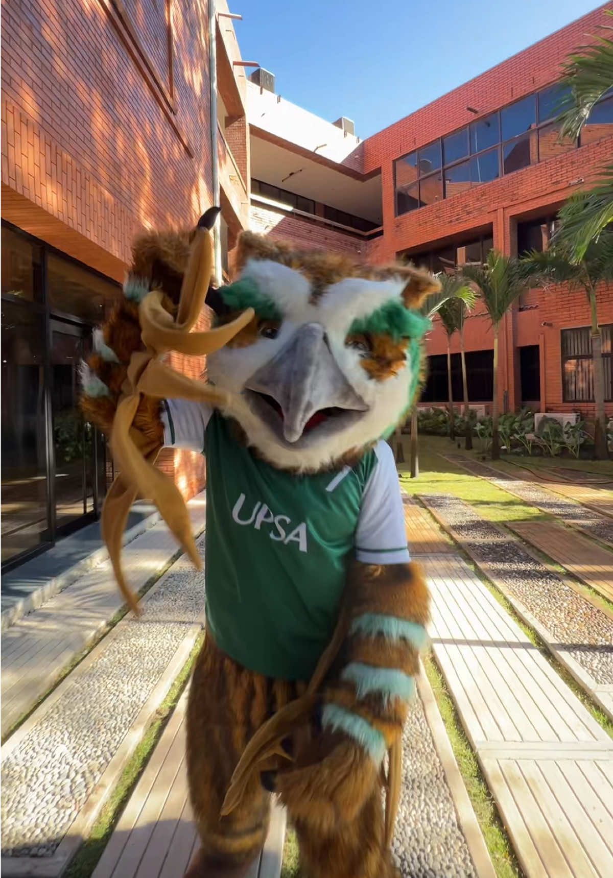 @Comunidad UPSA