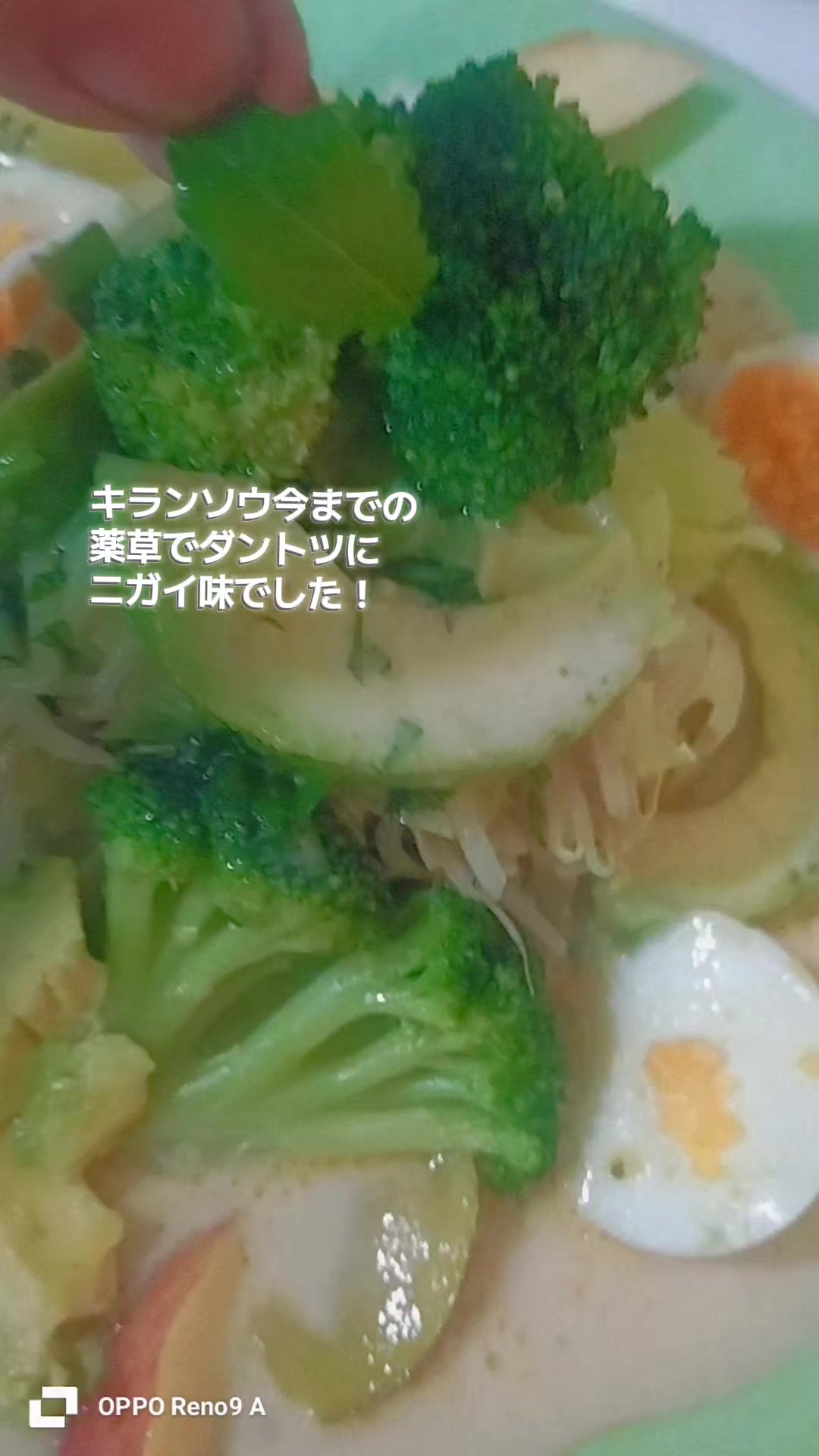 @🌿ありごれん🌿薬草🌿