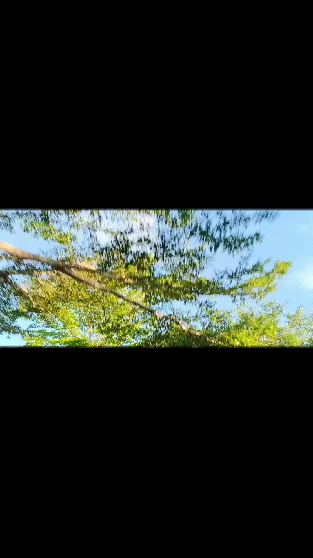 @Surya Wirasti