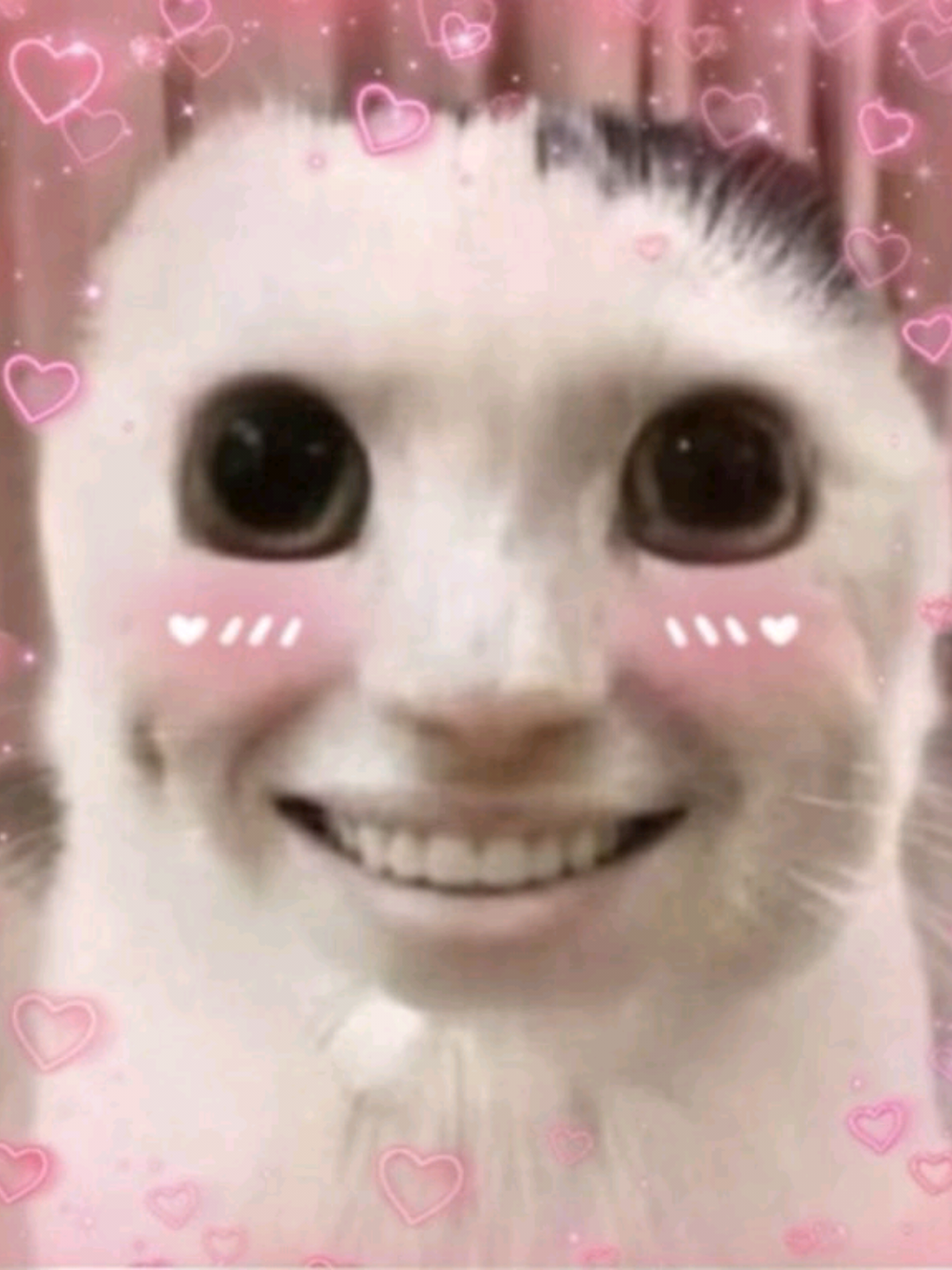 @rose cuarzo