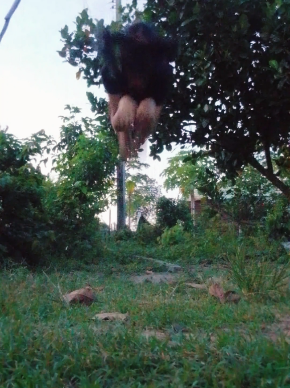 @✩₊˚⋆☾╶⃝⃤☽𝓽𝓱𝓮𝓻𝓲𝓪𝓷🌀🍀🌿丰