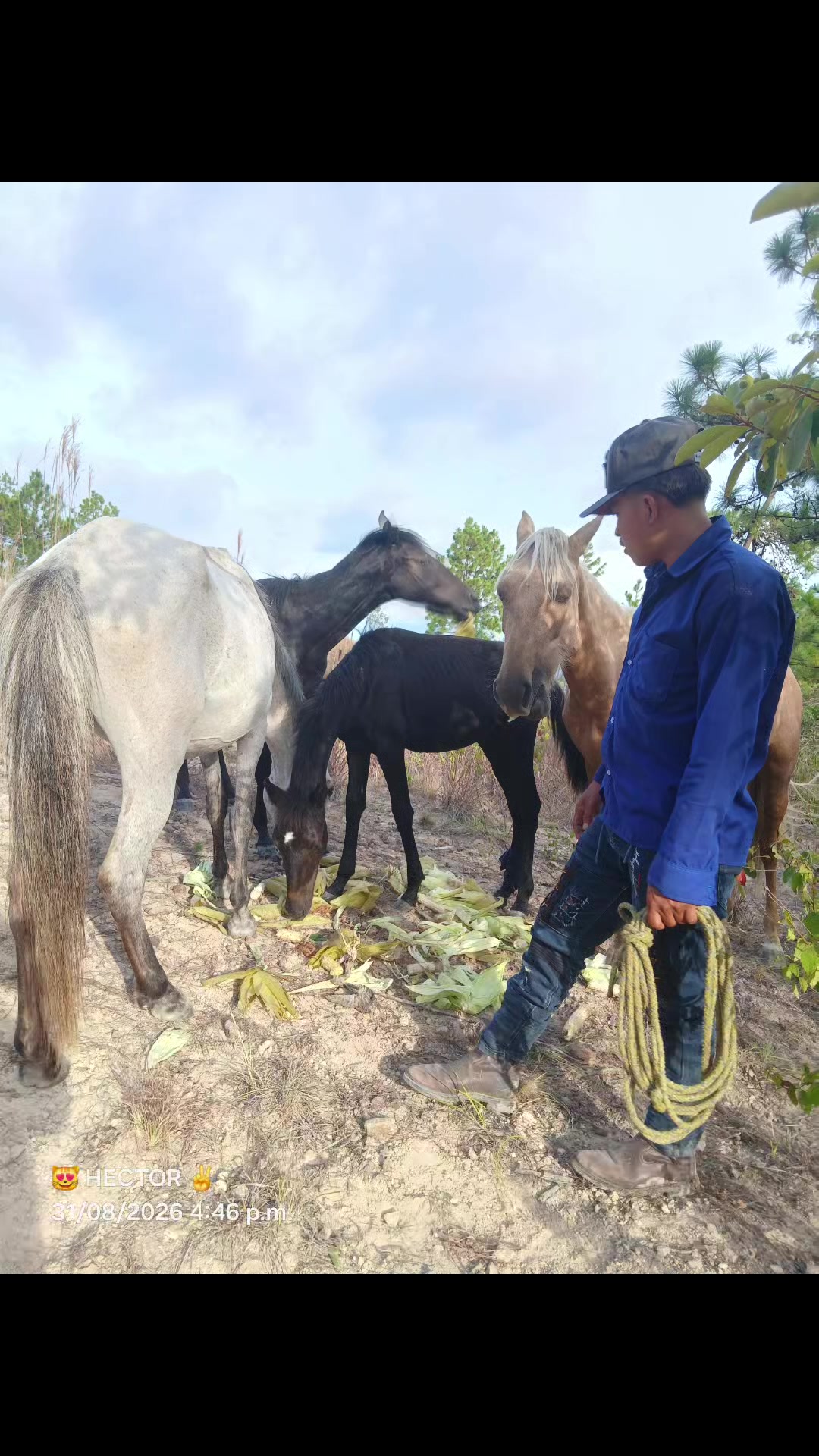 @HECTOR GT 502 🇬🇹