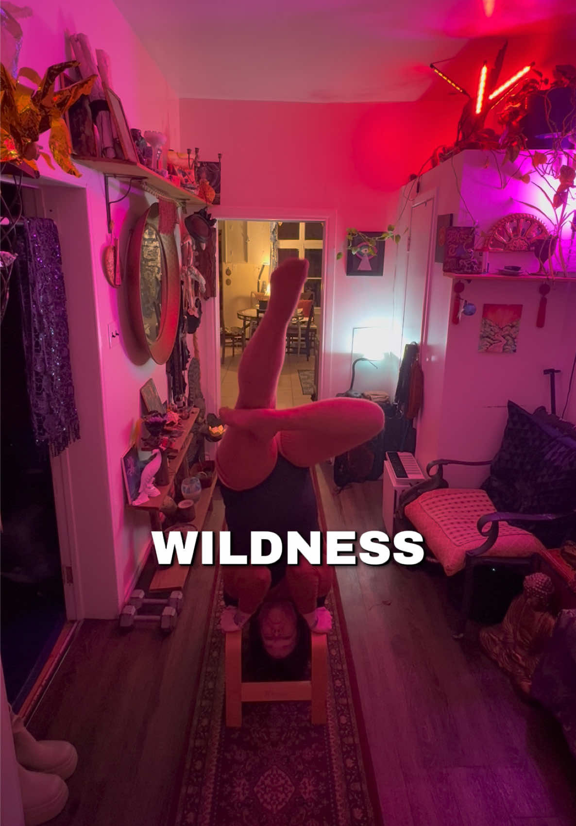 @The Bearded Goddess