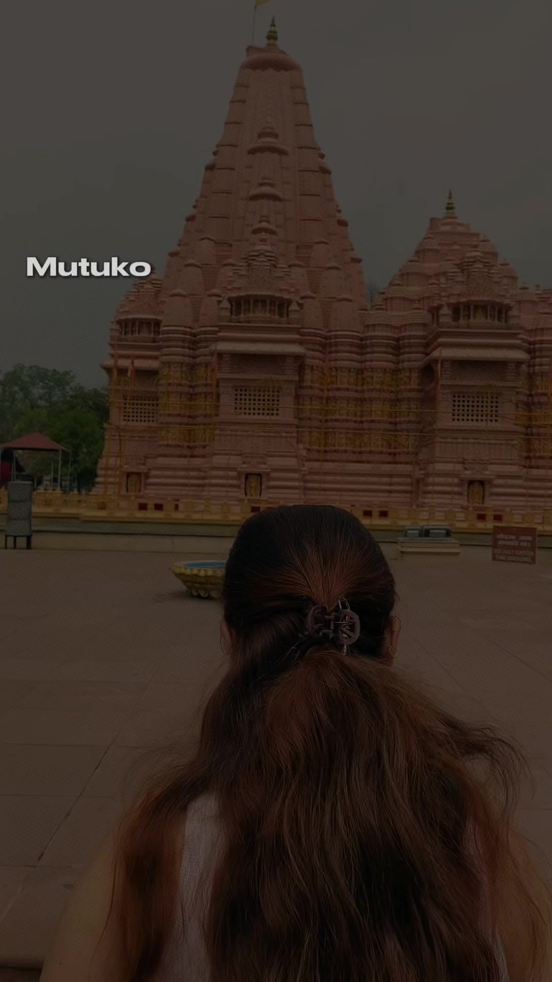 @Sunita🥀❤️