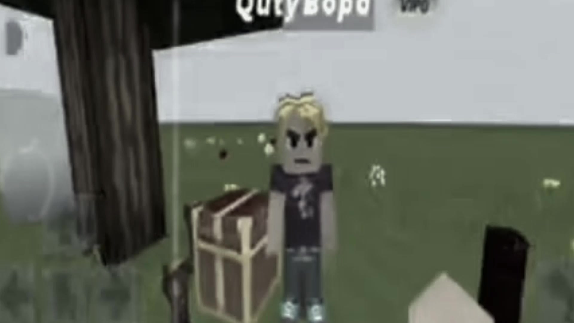 @RadiationGuy70