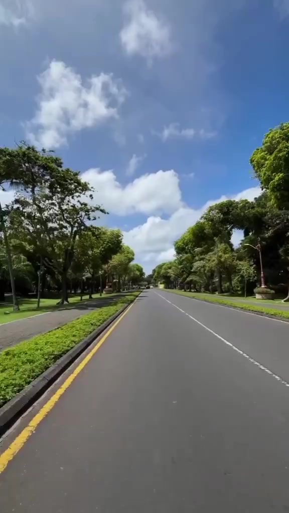 @winnie 580
