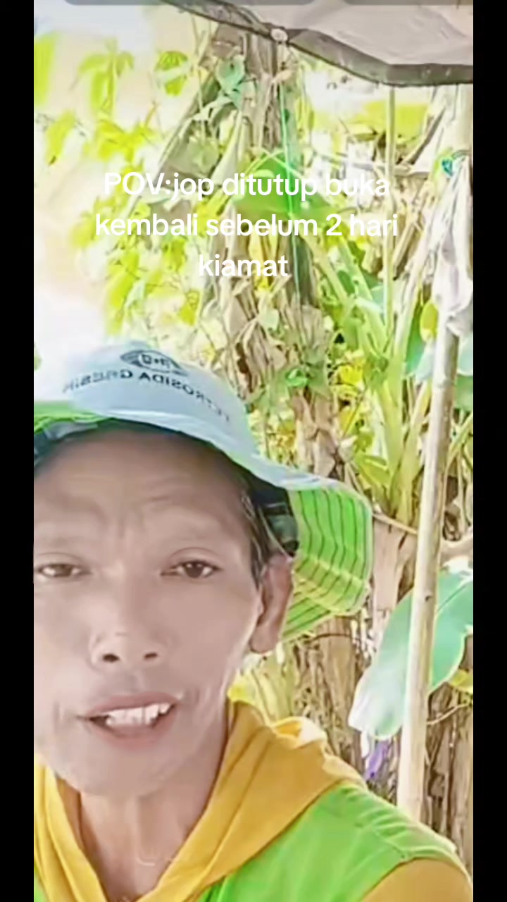 @ACAN hangur