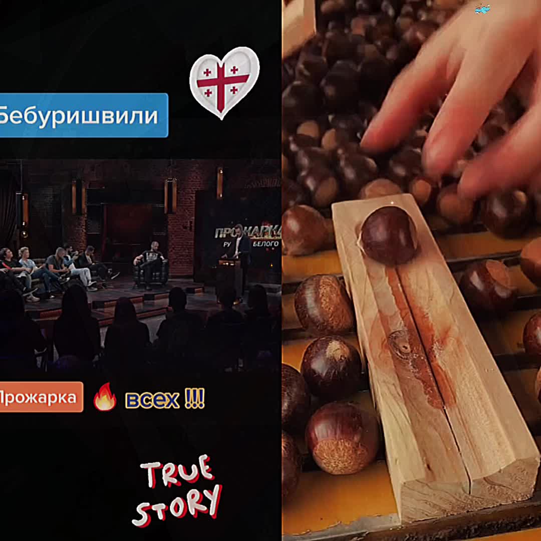 @user17515392081841