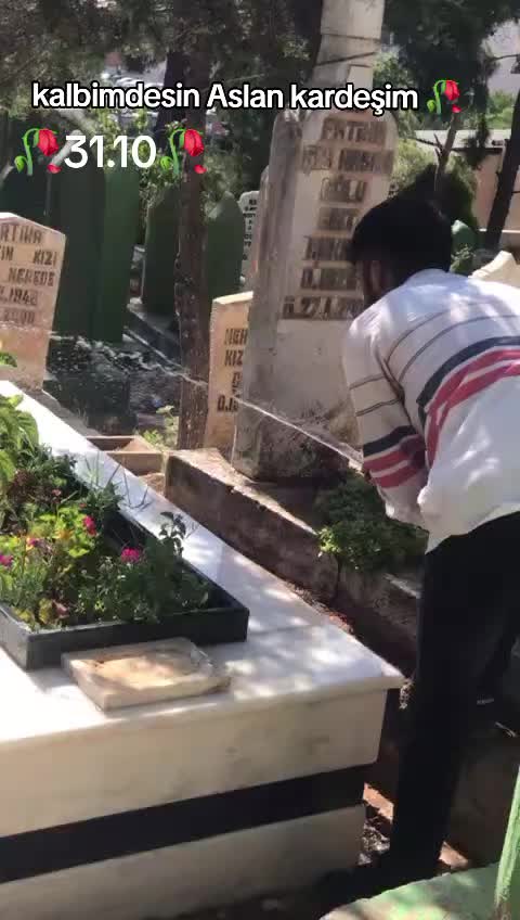 @ABDULLAH C&Acirc;N