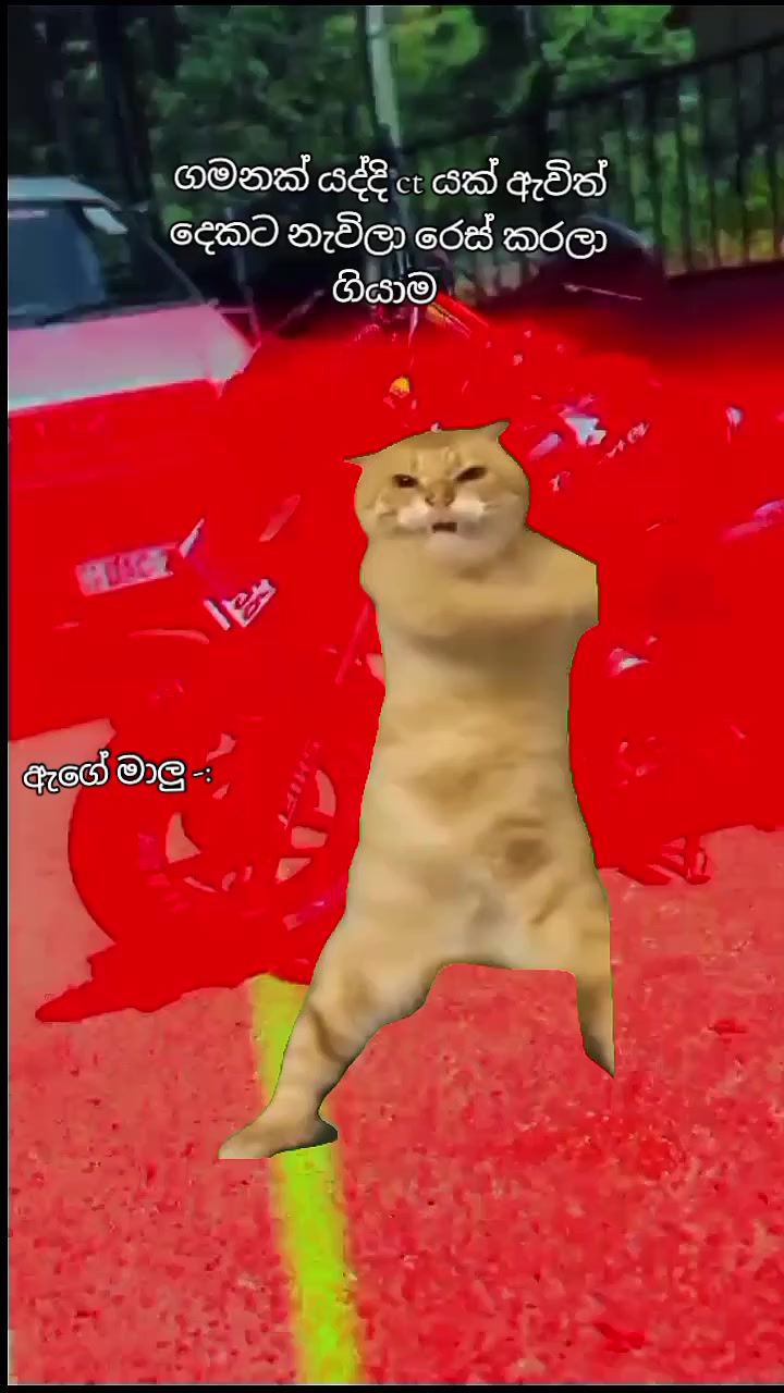 @ðð§ð£ð®ð® ðªŒ
