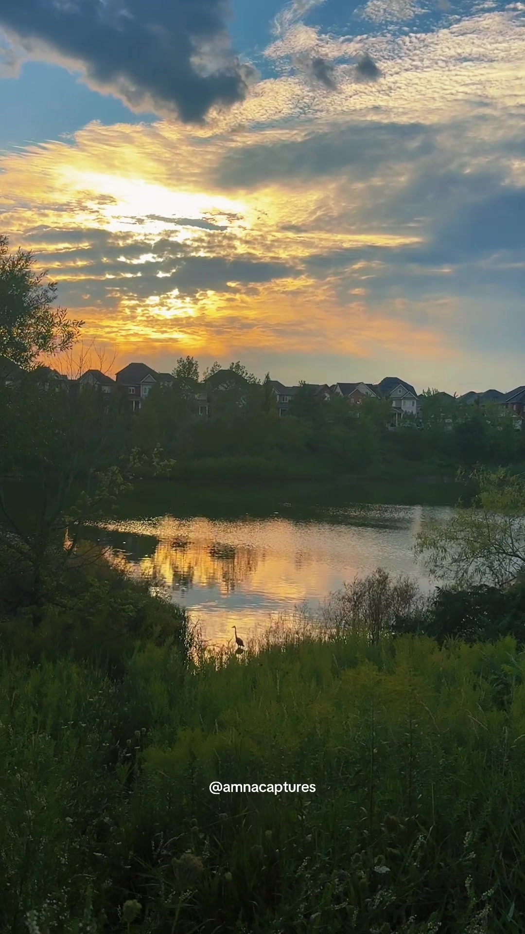 @Nature lover  🇨🇦