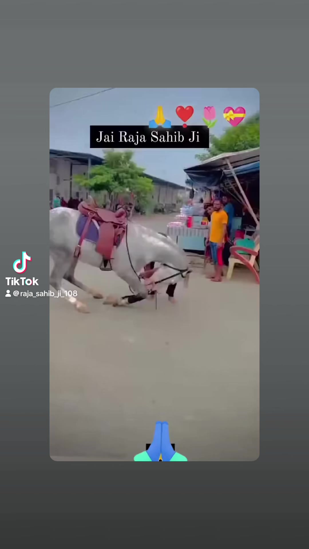 @ਜੱਦੀ ਘਰ ਰਾਜਾ ਸਾਹਿਬ ਜੀ