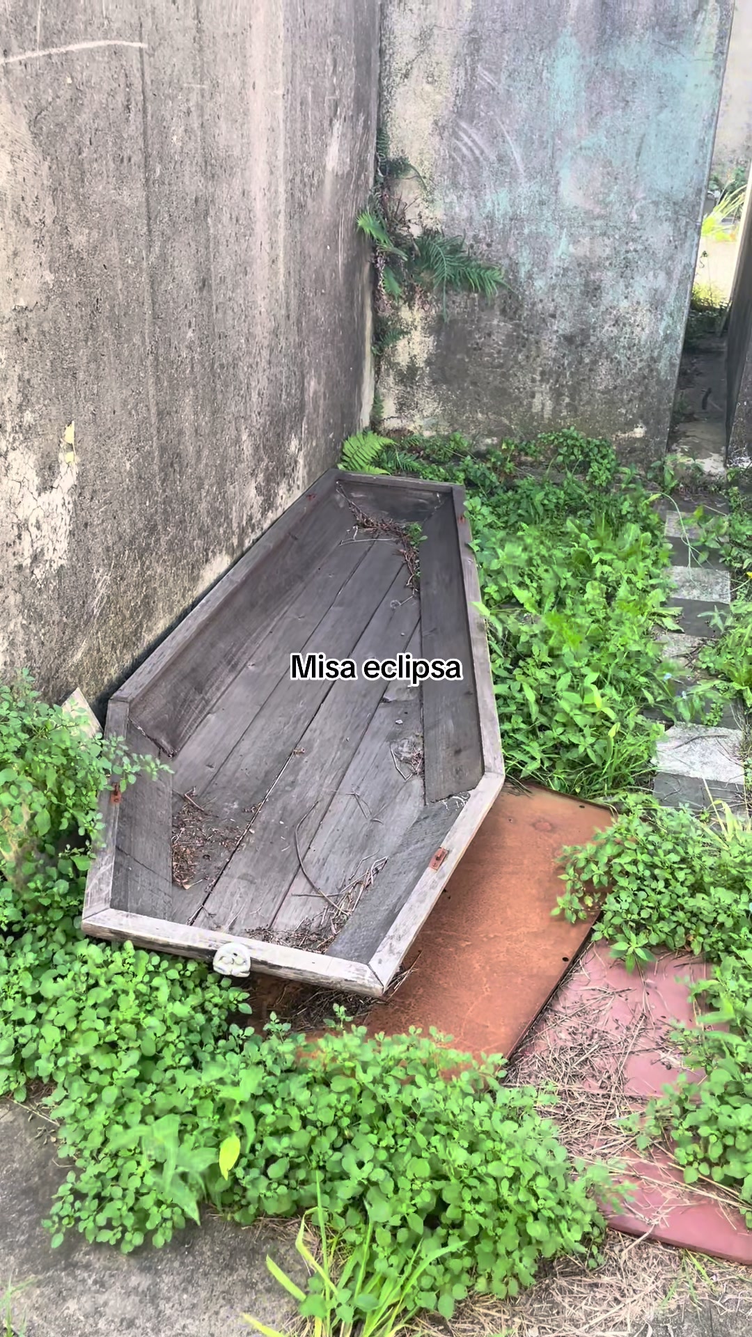 @๐ฆ๐ธ๐๐๐๐ฆ