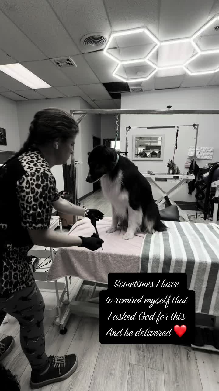@Kelly&rsquo;s pet&rsquo;s