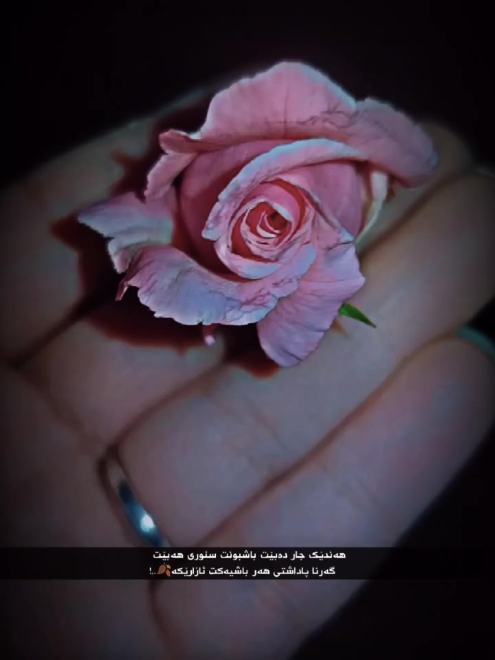 @نـ  ـــونـ  ــــە🕊️🤍