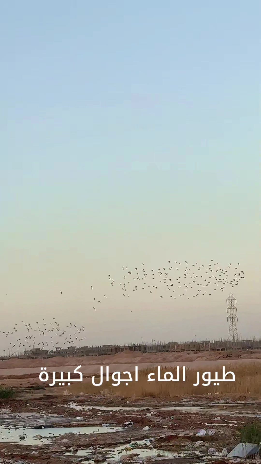 @ابوعبدالله