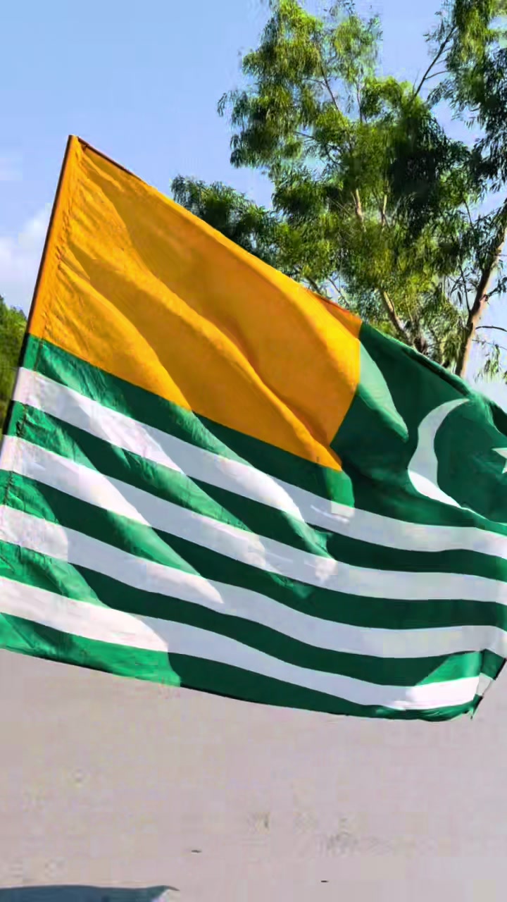 @سردار محیب