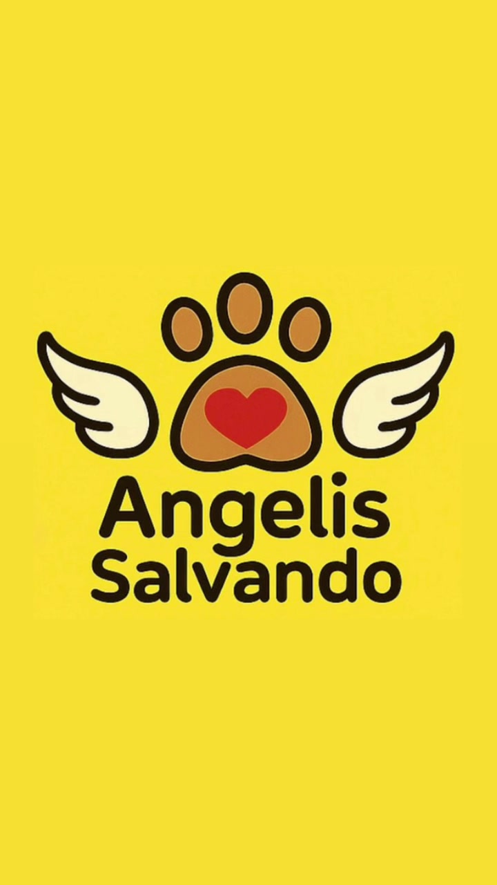 @angelissalvando