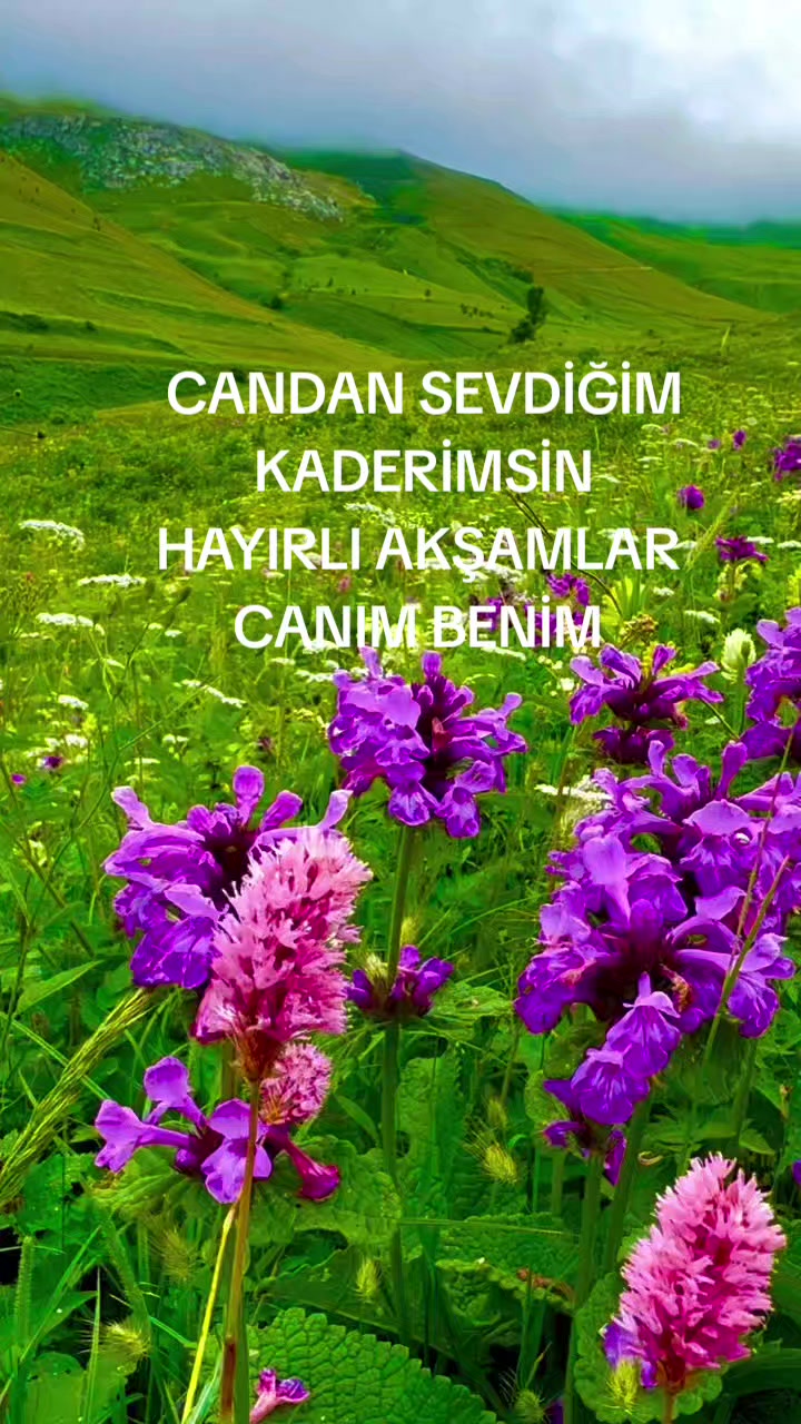 @Hasan Yılmaz