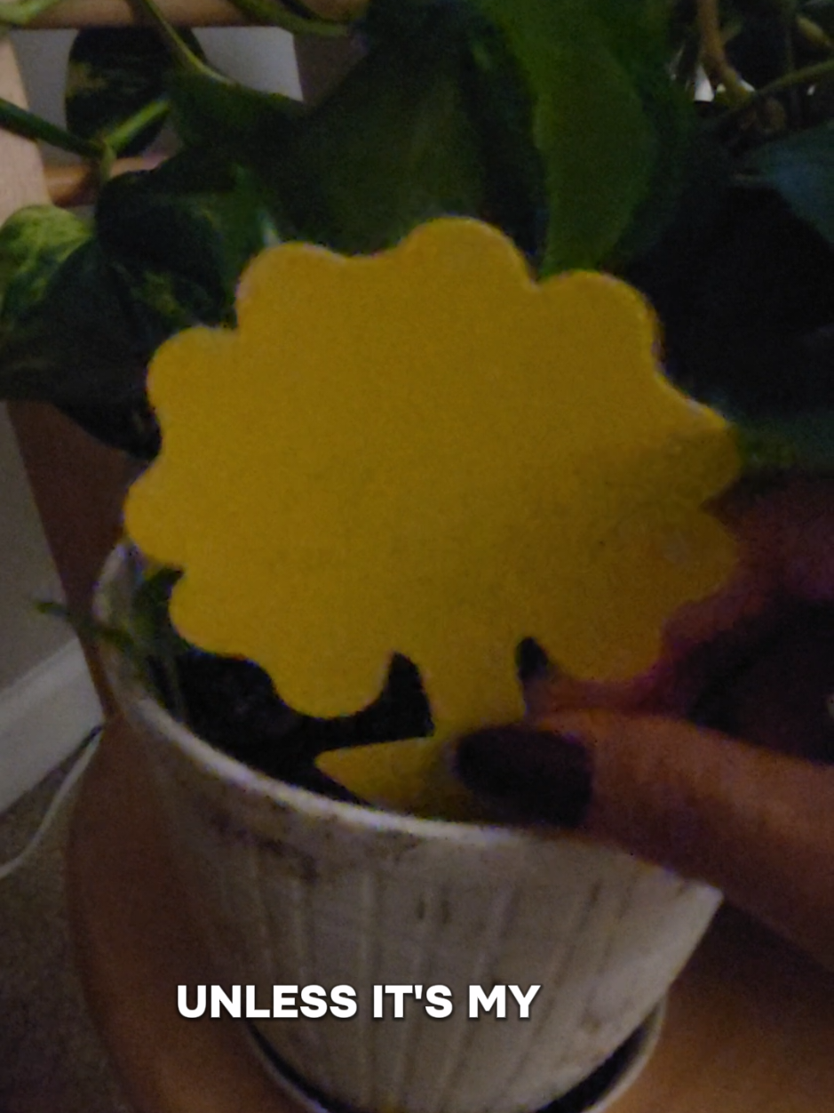 @M&W