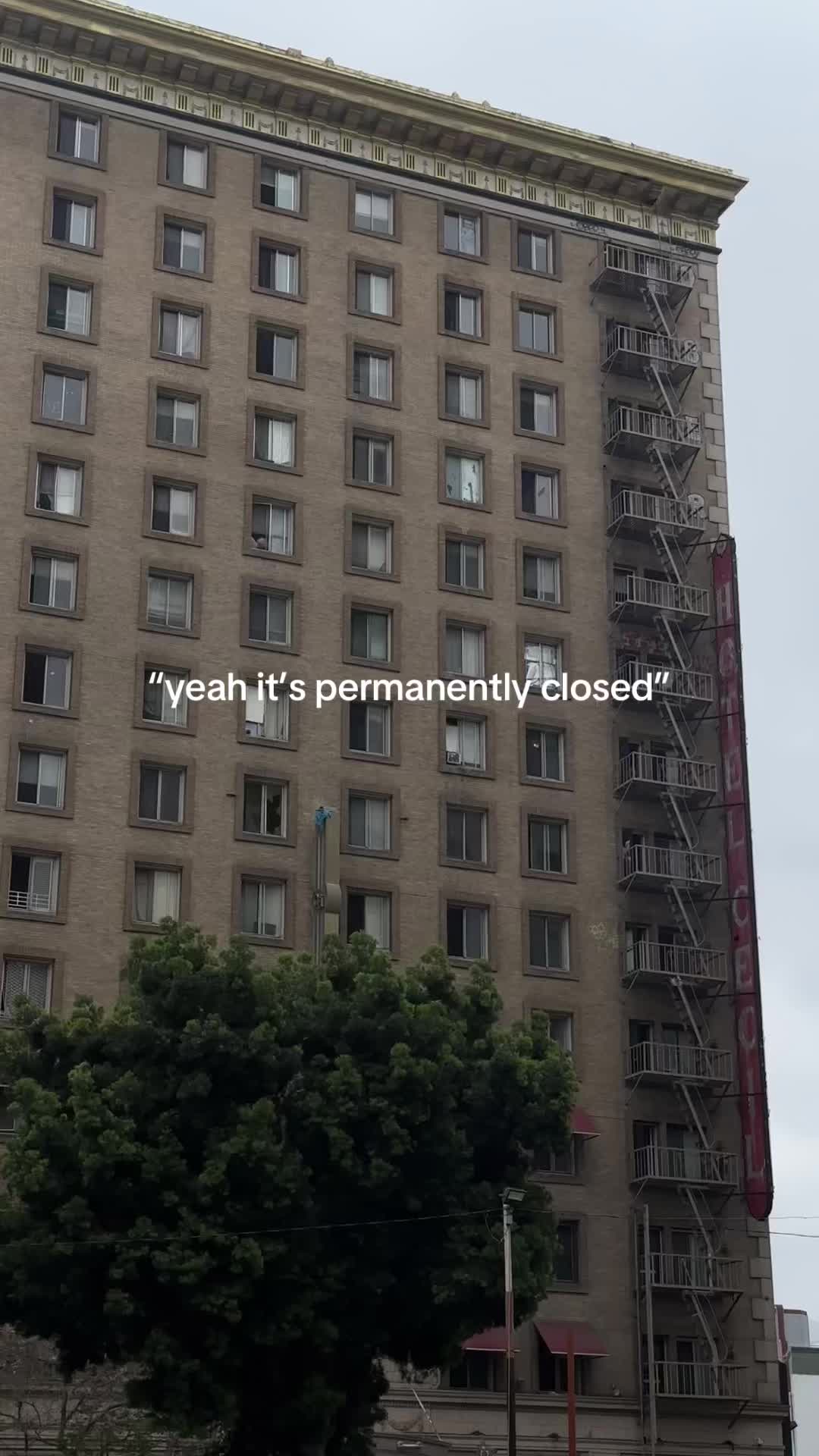 @𝓟 🦢