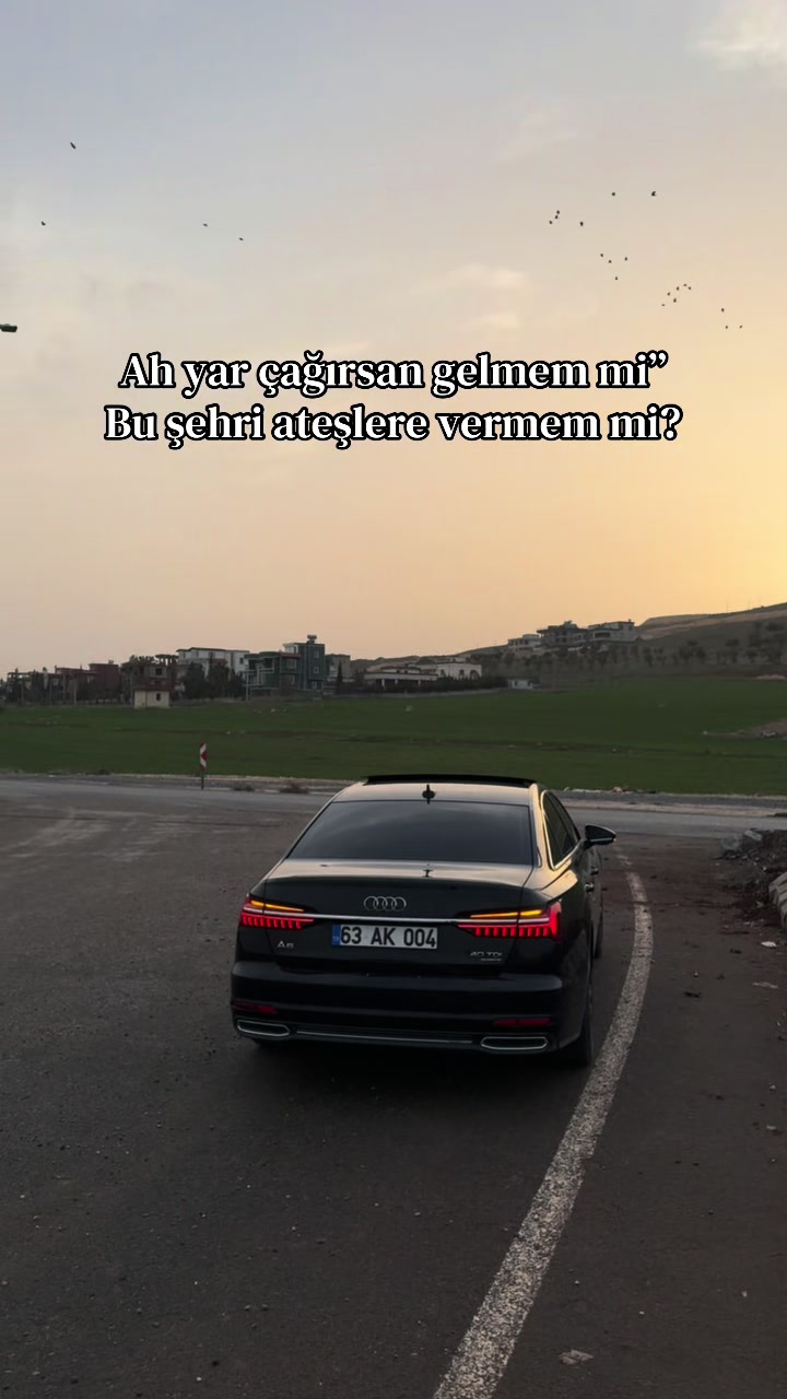 @MEHMET YILDIRIM