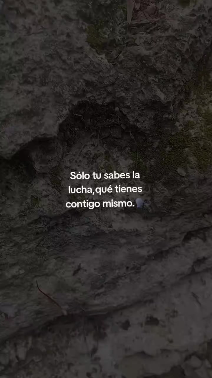 @frases_4497