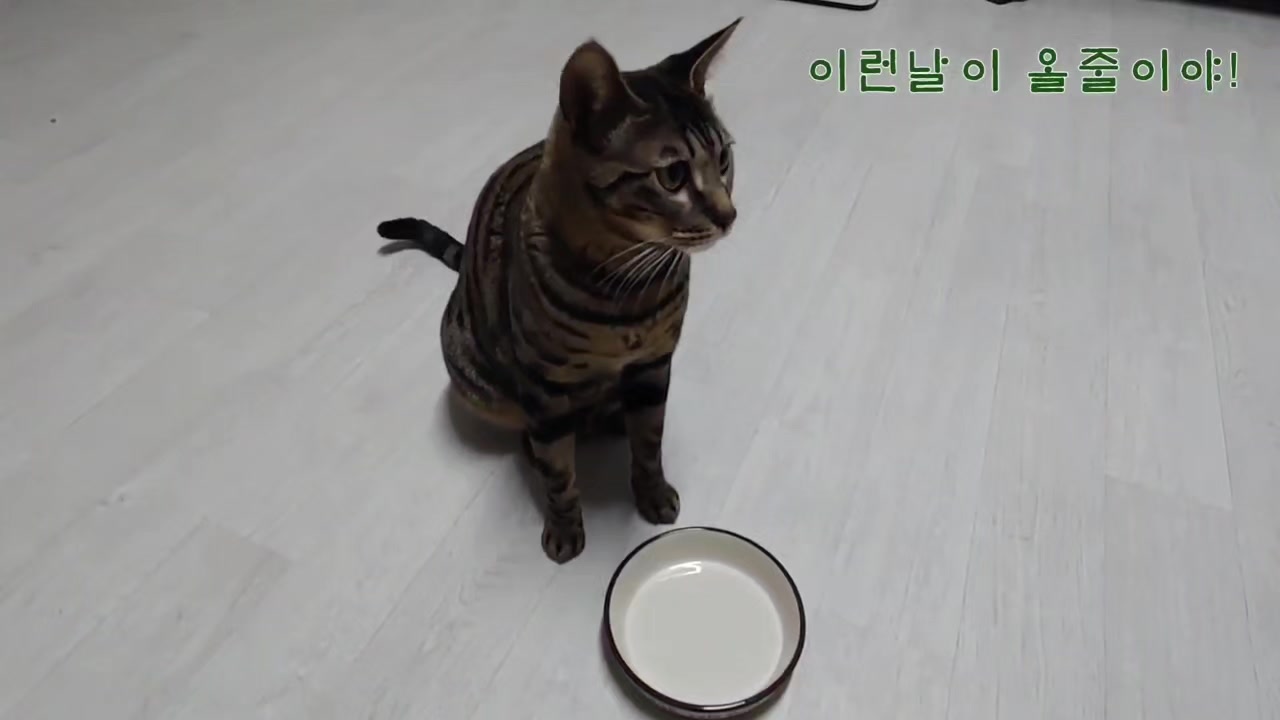 @심심해