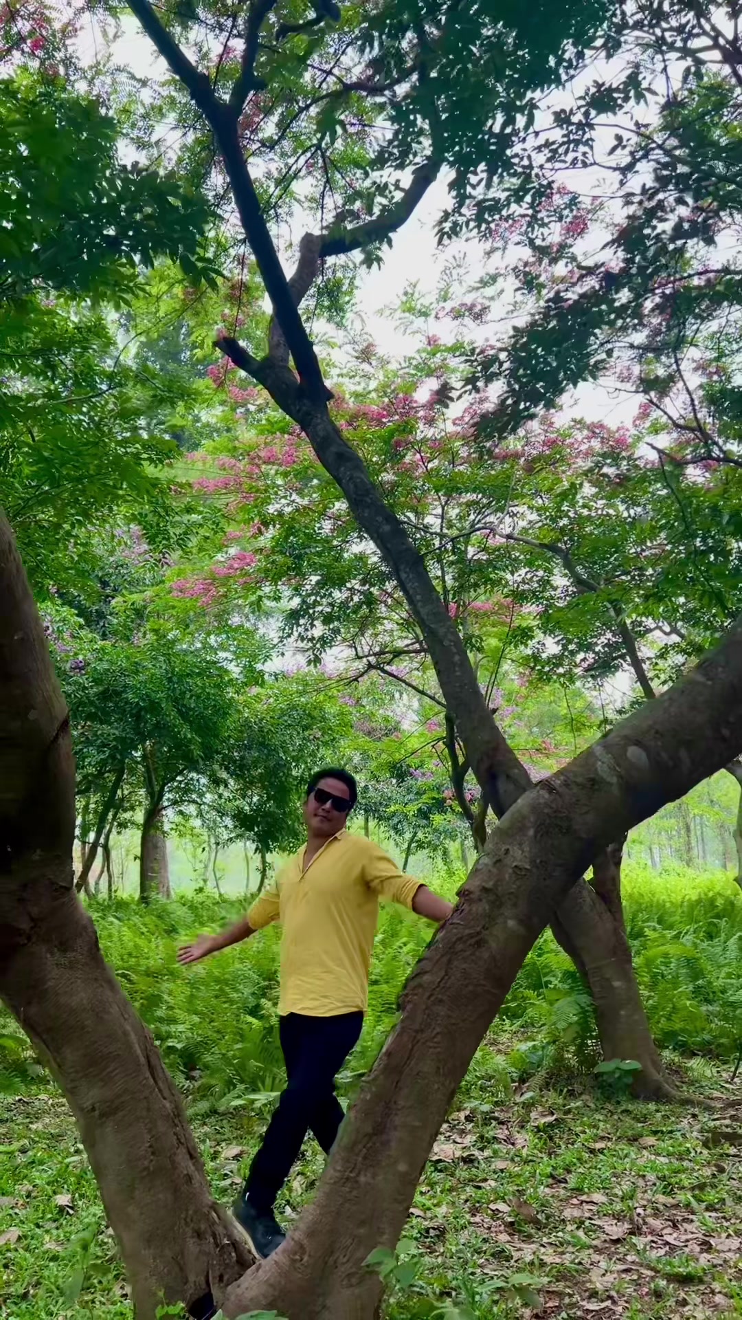 @अमृत मादेन
