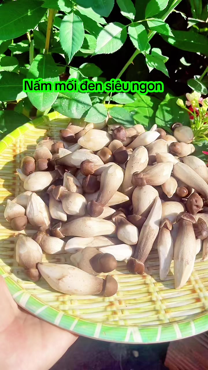 @nguyentuyet_79