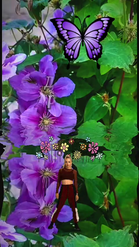 @фіалка