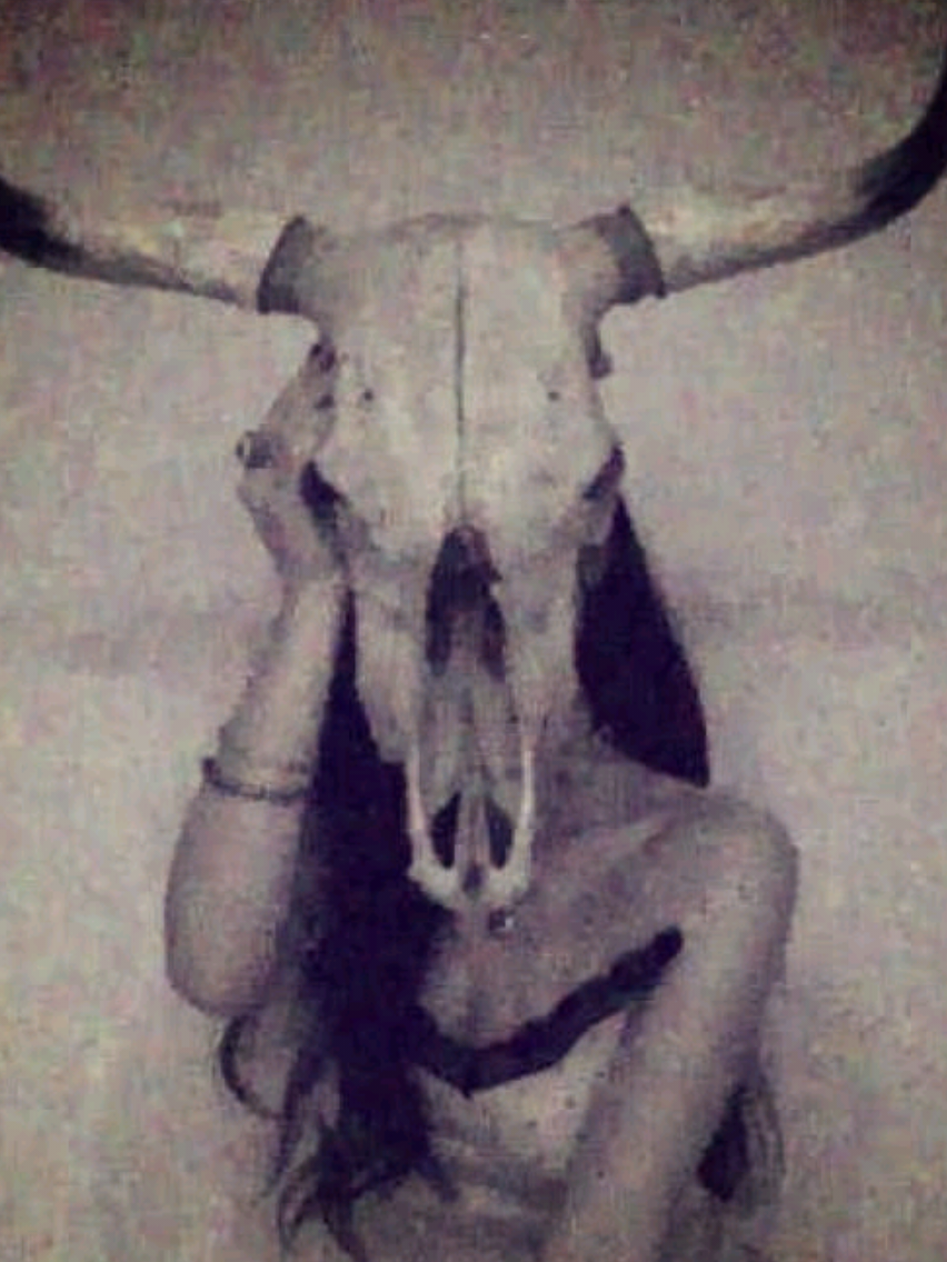 @𝑊𝑖𝑠𝑡𝑒𝑟𝑖𝑎𓆤