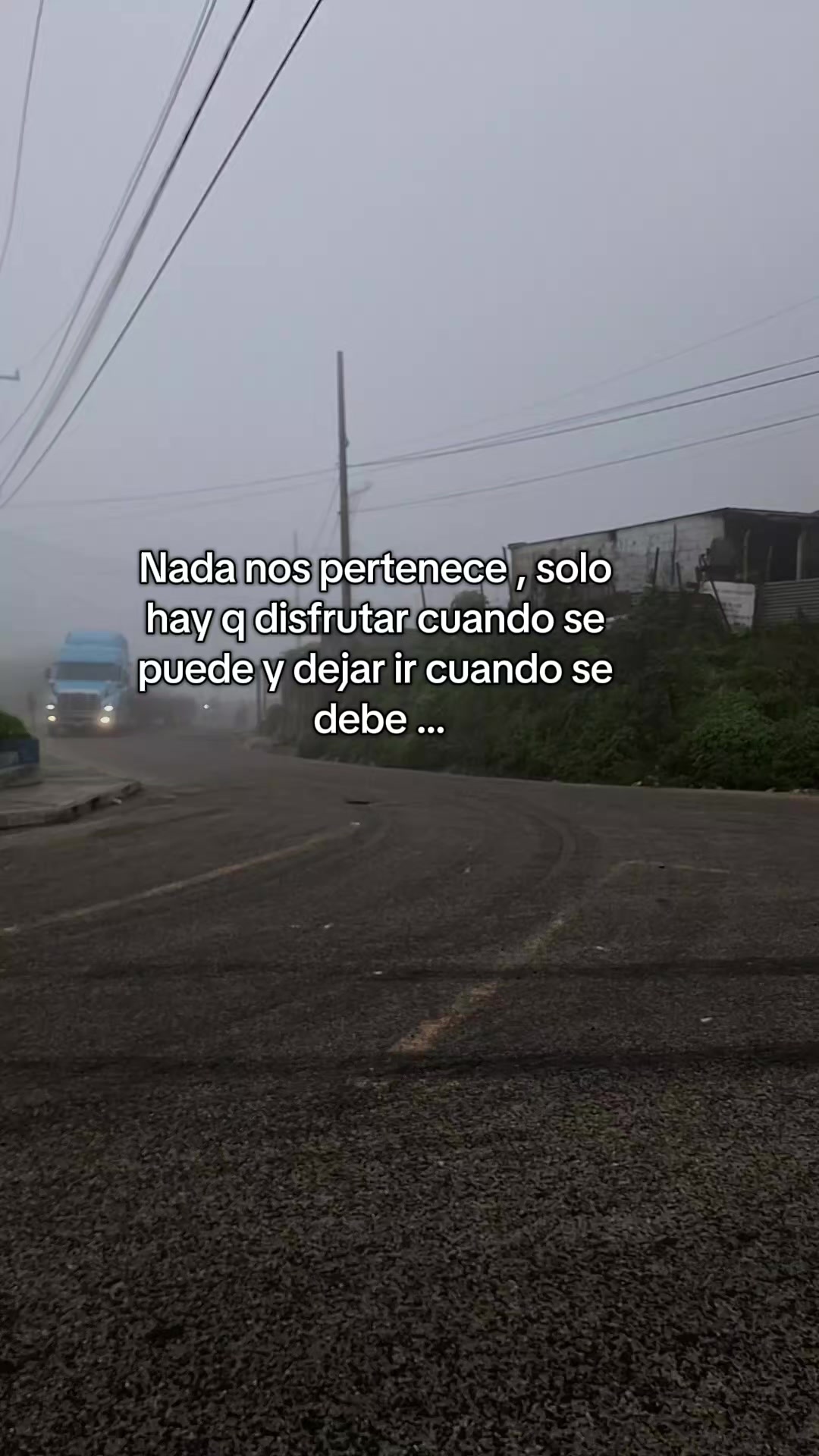 @🦋14♡🦋🍃
