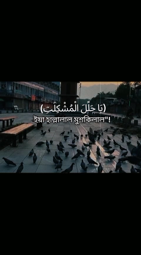 @❀🕋ইসলামের পথে🕋❀