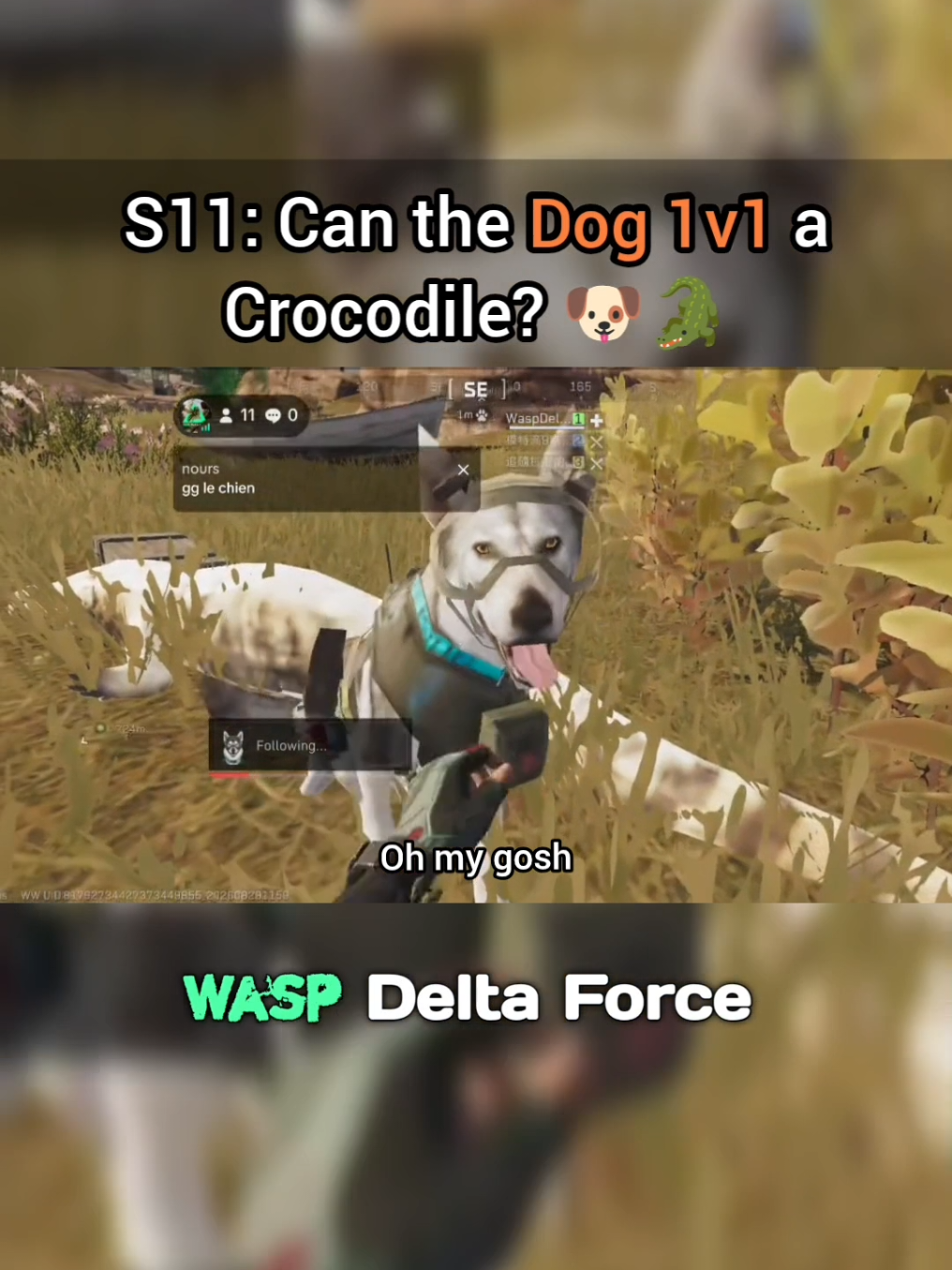 @Wasp Delta Force