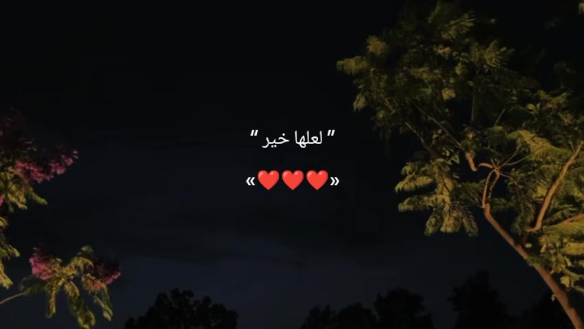 @karim hegazy