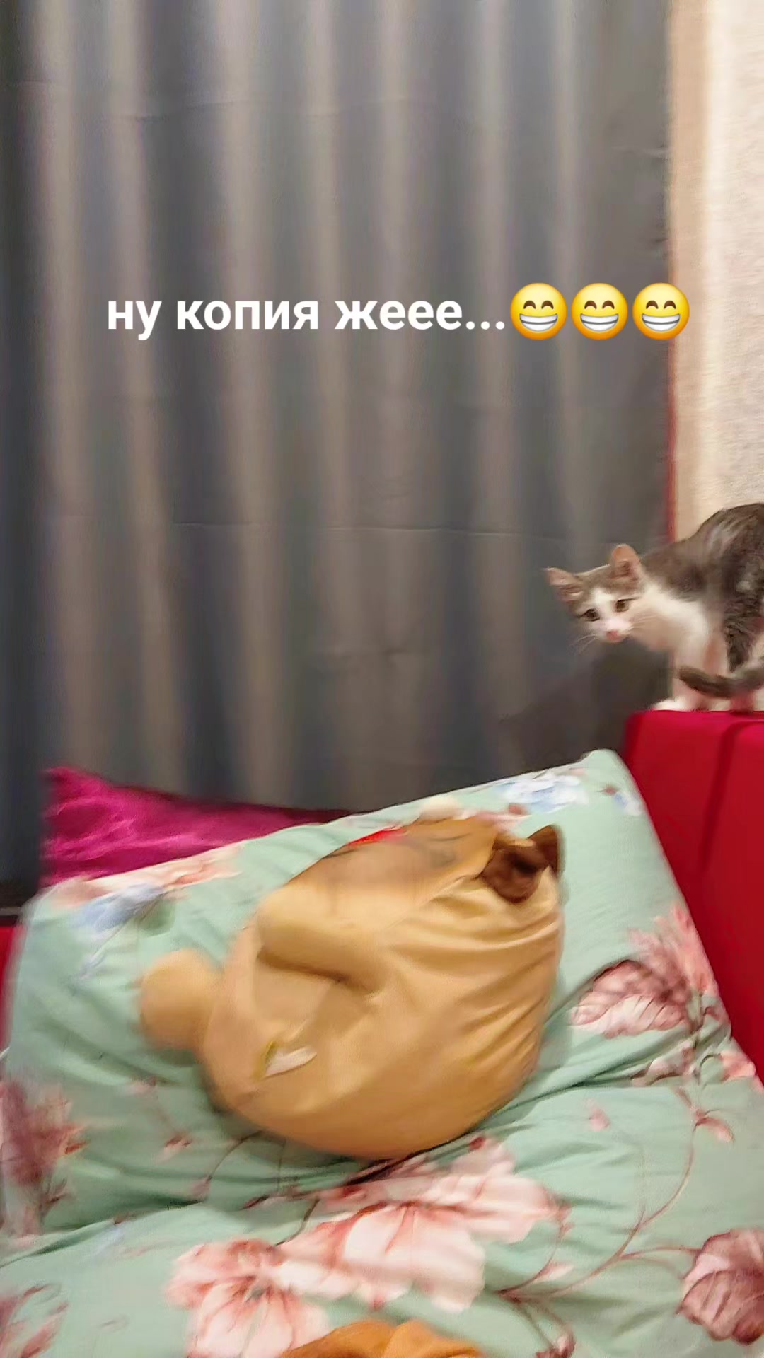 @светлана