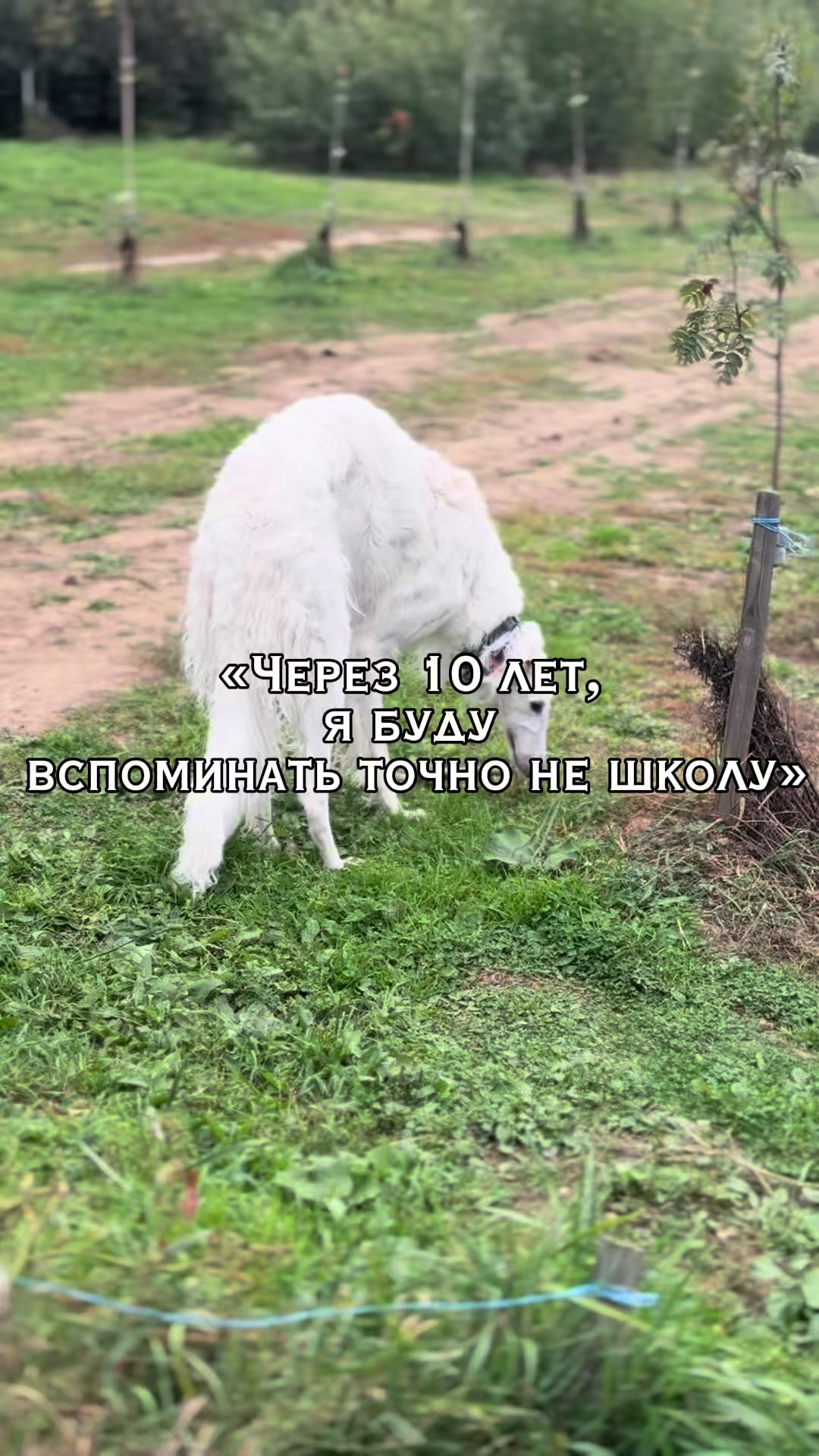 @Кареглазый блондин👁️