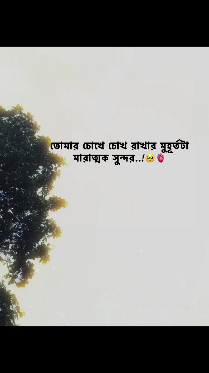 @🫀সুনামগঞ্জের ছেলে💯