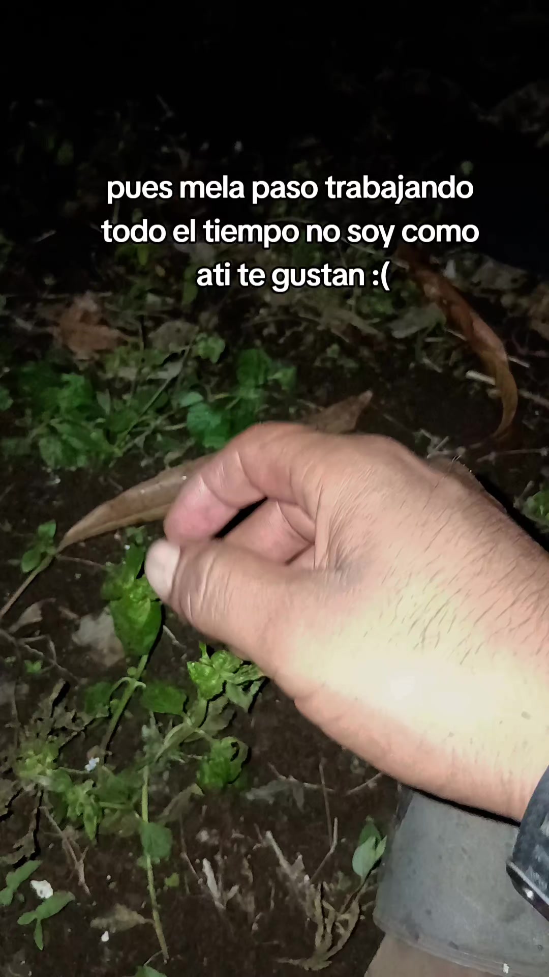 @Deiby