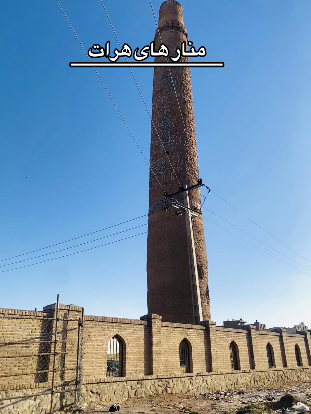 @__yalda__