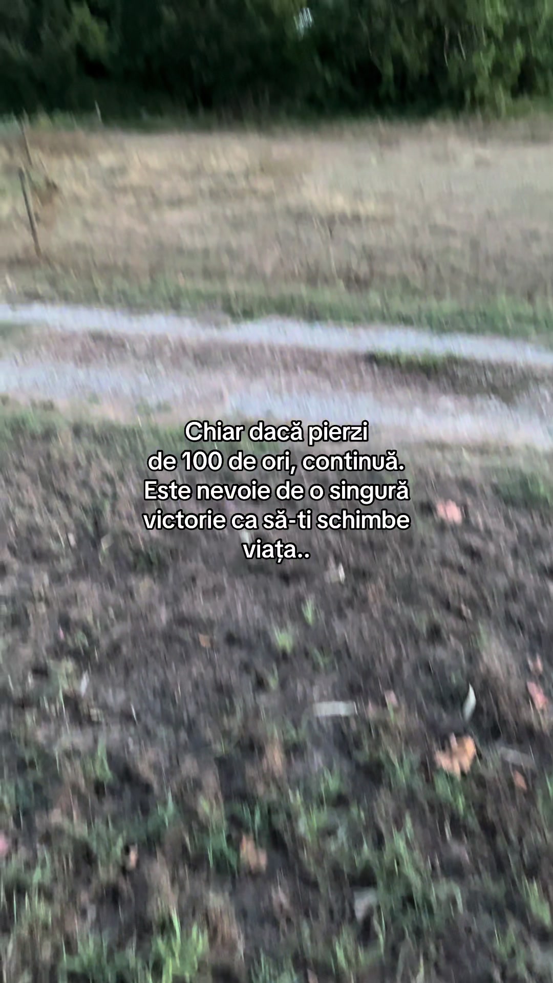 @qx.citate