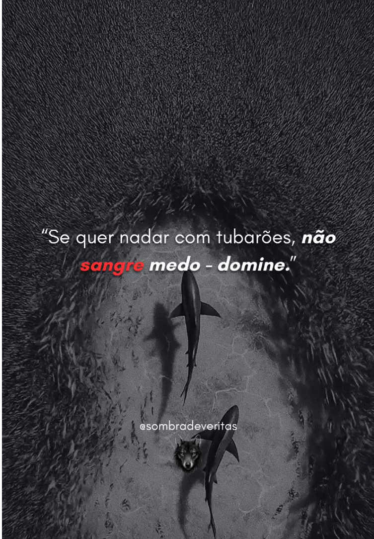 @Sombra de Veritas