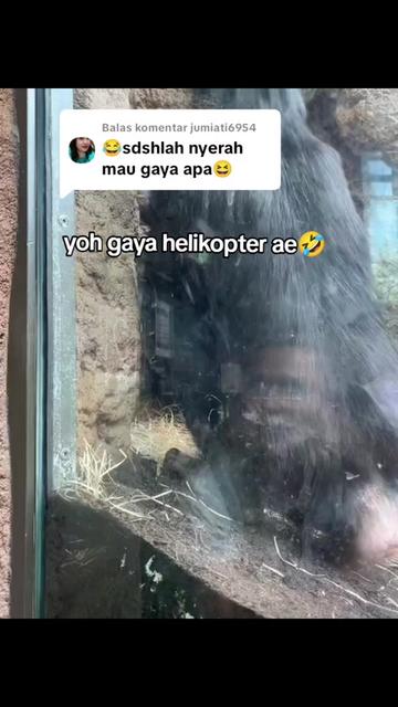 @🇮🇩 BₐBₐ アルダ 🇯🇵