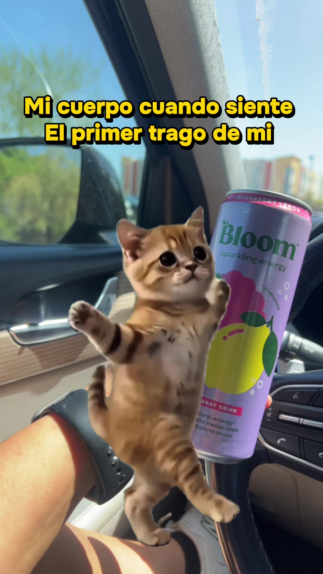 @carlos_y_martha
