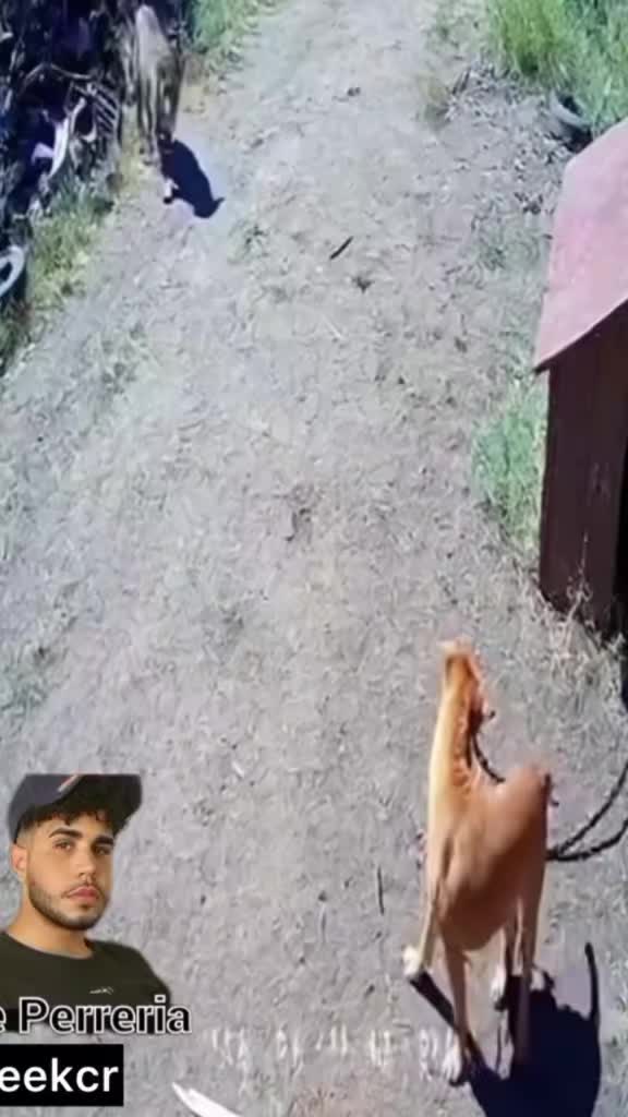 @moreol