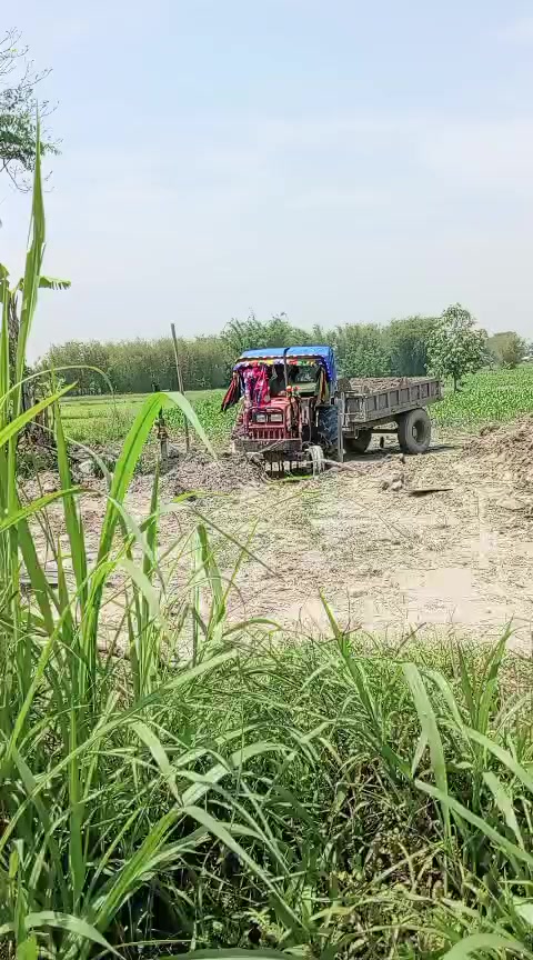 @Sojo keta 😭🥀❣️🥰😈👿💘💔