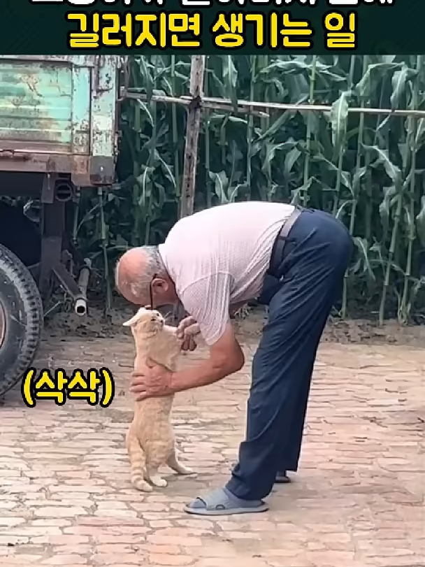 @개블리